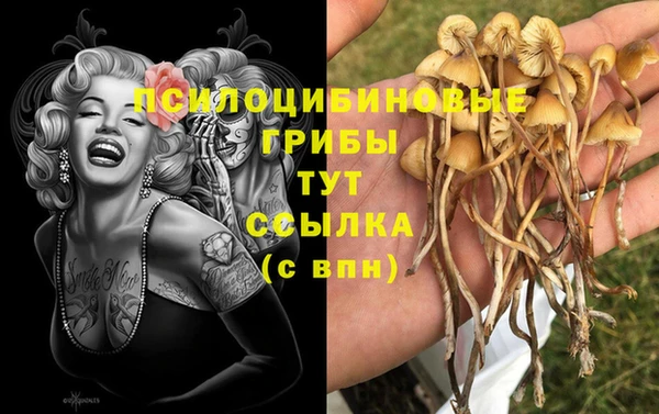 2c-b Алексеевка