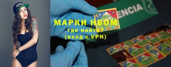 хмурый Алзамай
