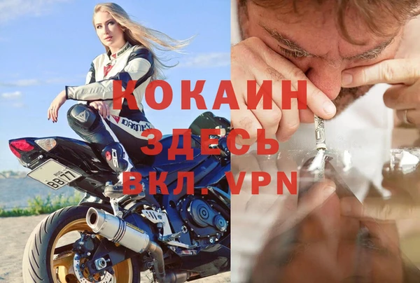 хмурый Алзамай